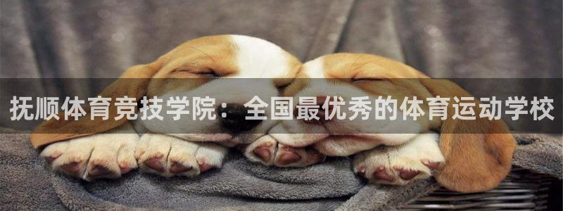 321体育免费下载安装最新版本：抚顺体育竞技学院：全国最优秀的体育运动学校