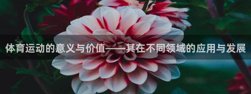 321体育：体育运动的意义与价值——其在不同领域的应用与发展